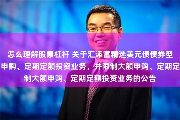 怎么理解股票杠杆 关于汇添富精选美元债债券型证券投资基金恢复申购、定期定额投资业务,并限制大额申购、定期定额投资业务的公告