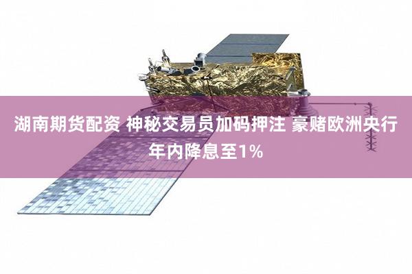 湖南期货配资 神秘交易员加码押注 豪赌欧洲央行年内降息至1%