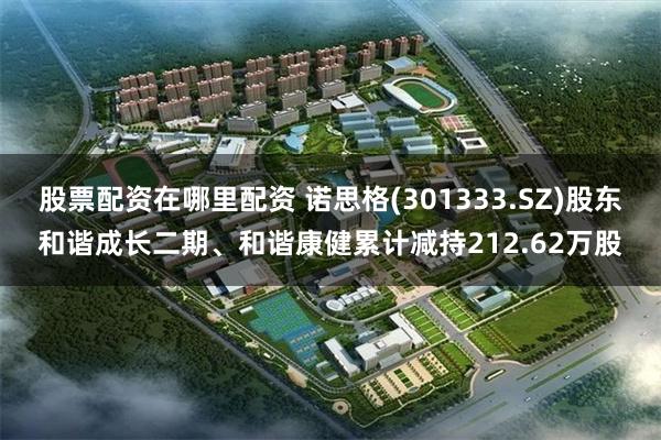 股票配资在哪里配资 诺思格(301333.SZ)股东和谐成长二期、和谐康健累计减持212.62万股
