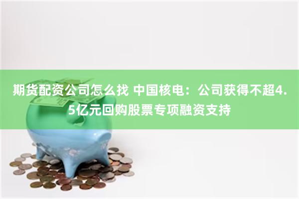 期货配资公司怎么找 中国核电：公司获得不超4.5亿元回购股票专项融资支持