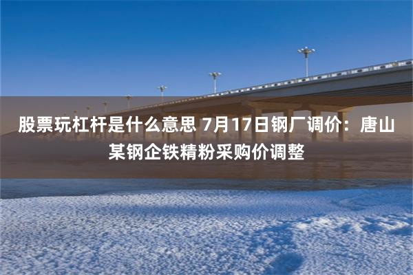 股票玩杠杆是什么意思 7月17日钢厂调价：唐山某钢企铁精粉采购价调整