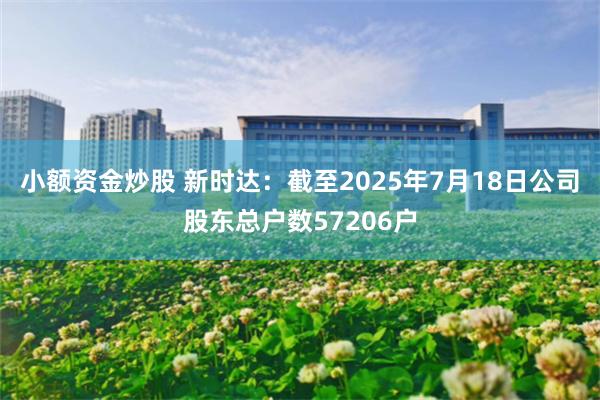 小额资金炒股 新时达：截至2025年7月18日公司股东总户数57206户