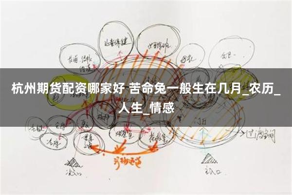 杭州期货配资哪家好 苦命兔一般生在几月_农历_人生_情感