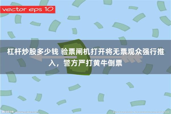 杠杆炒股多少钱 验票闸机打开将无票观众强行推入，警方严打黄牛倒票