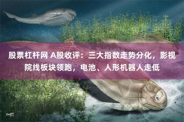 股票杠杆网 A股收评：三大指数走势分化，影视院线板块领跑，电池、人形机器人走低